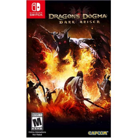 Dragon's Dogma: Dark Arisen [Nintendo Switch, английская версия]